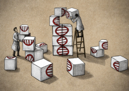 DNA puzzle